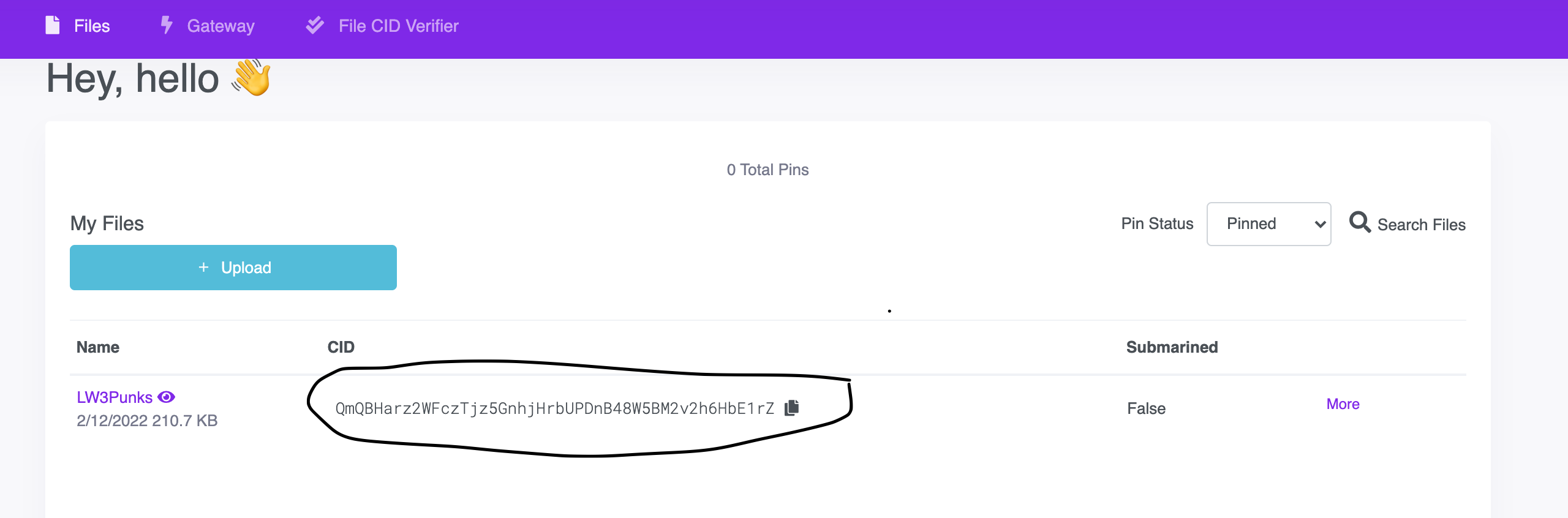 How To Upload And Pin Files to IPFS